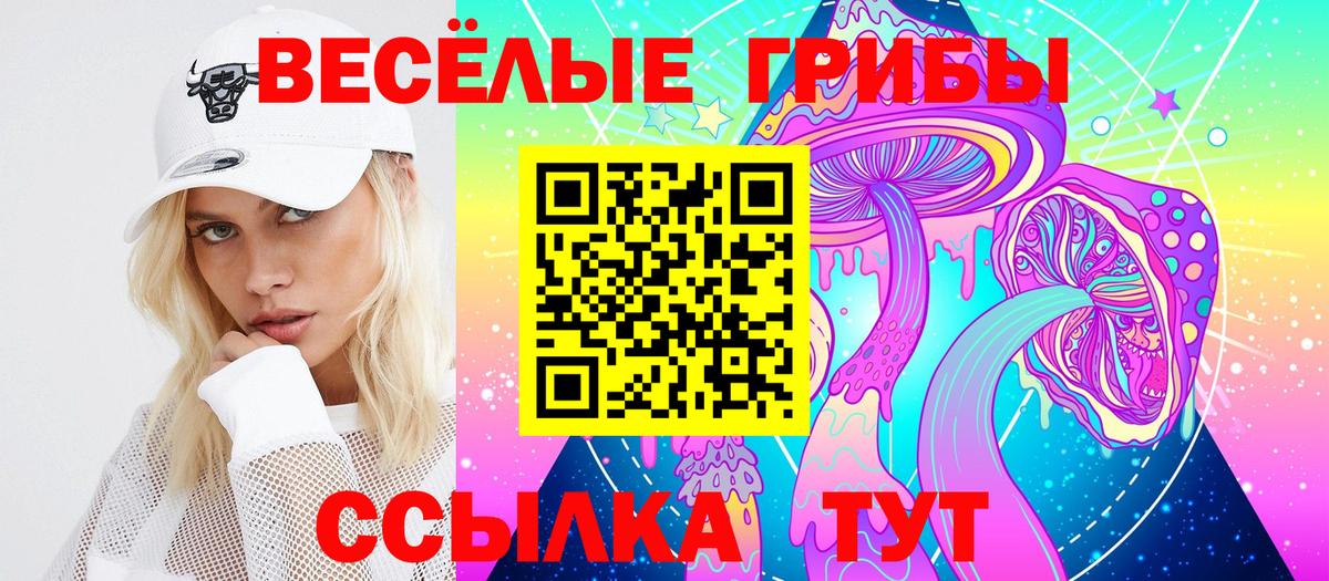 Галлюциногенные грибы прущие грибы  Вход с VPN  хочу   Тамбов 