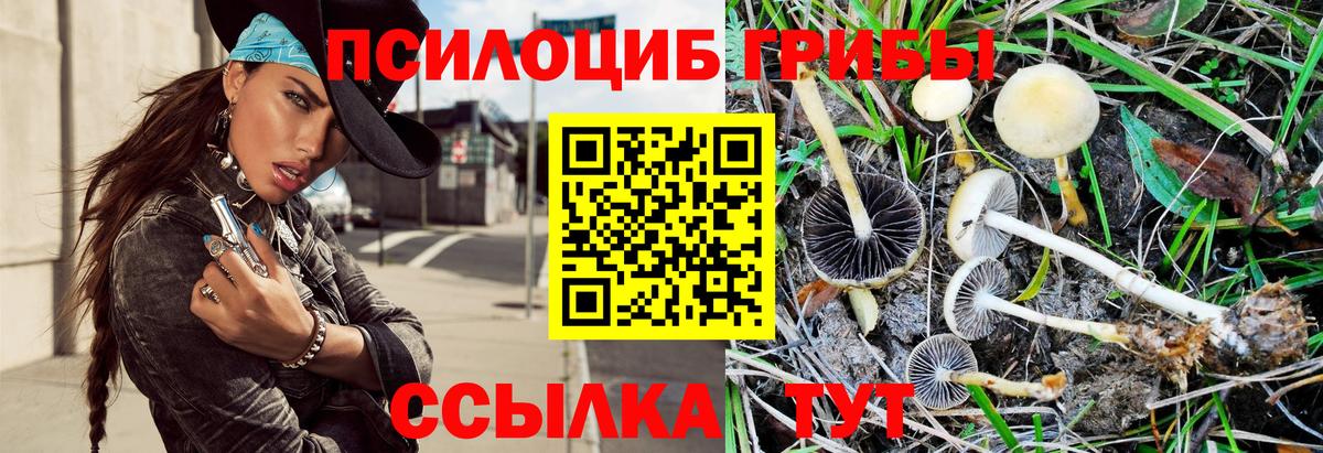 Канабис Тамбов