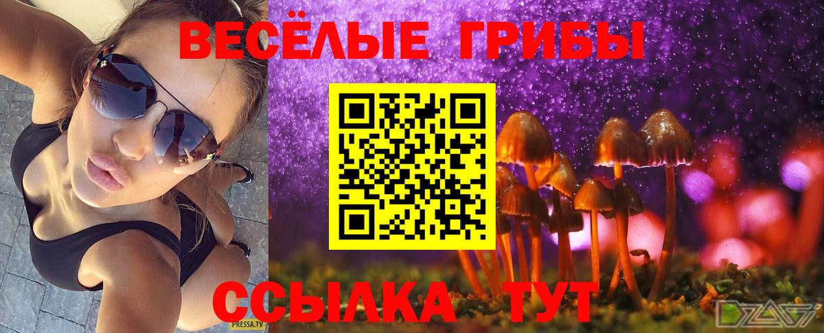 Галлюциногенные грибы MAGIC MUSHROOMS Тамбов